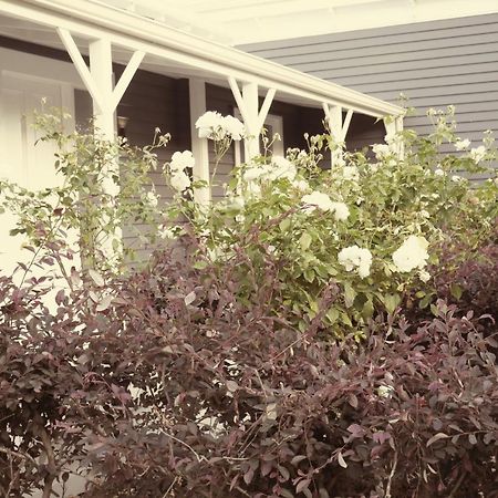 Apartment On St Georges Havelock North Esterno foto